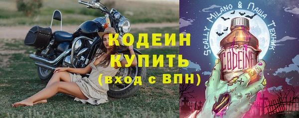 хмурый Арсеньев
