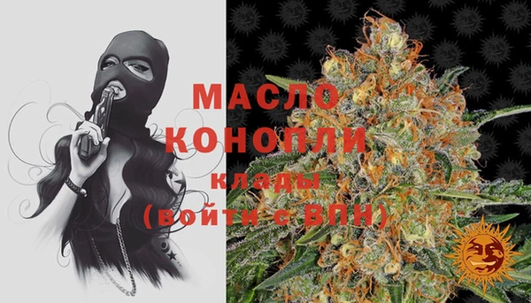 хмурый Арсеньев