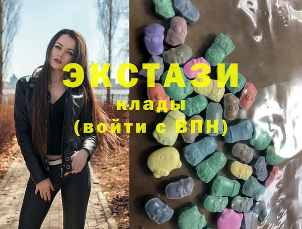 хмурый Арсеньев