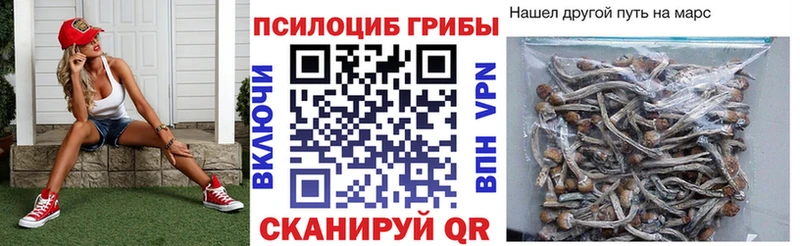 Купить где  Воскресенск  Галлюциногенные грибы MAGIC MUSHROOMS 
